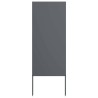Panneau décoratif de jardin Anthracite 50 x 140 cm 