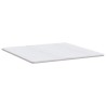 Coussins de Matelas Blanc 200 x 200 cm Polyester sans colle 