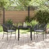 Ensemble de salle à manger jardin de 3 pièces avec coussins en poly rotin noir. 