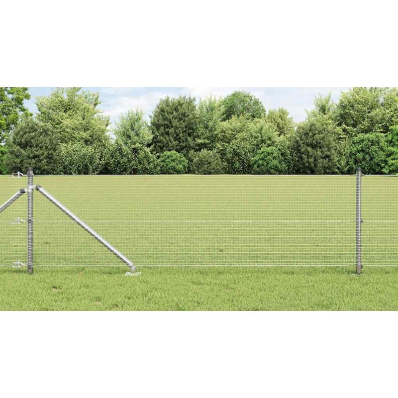 Clôture en fil soudé avec 13 poteaux pointus 0.8x25 m Acier galvanisé 