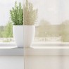 Rideaux en voile avec passants 2 pcs crème 