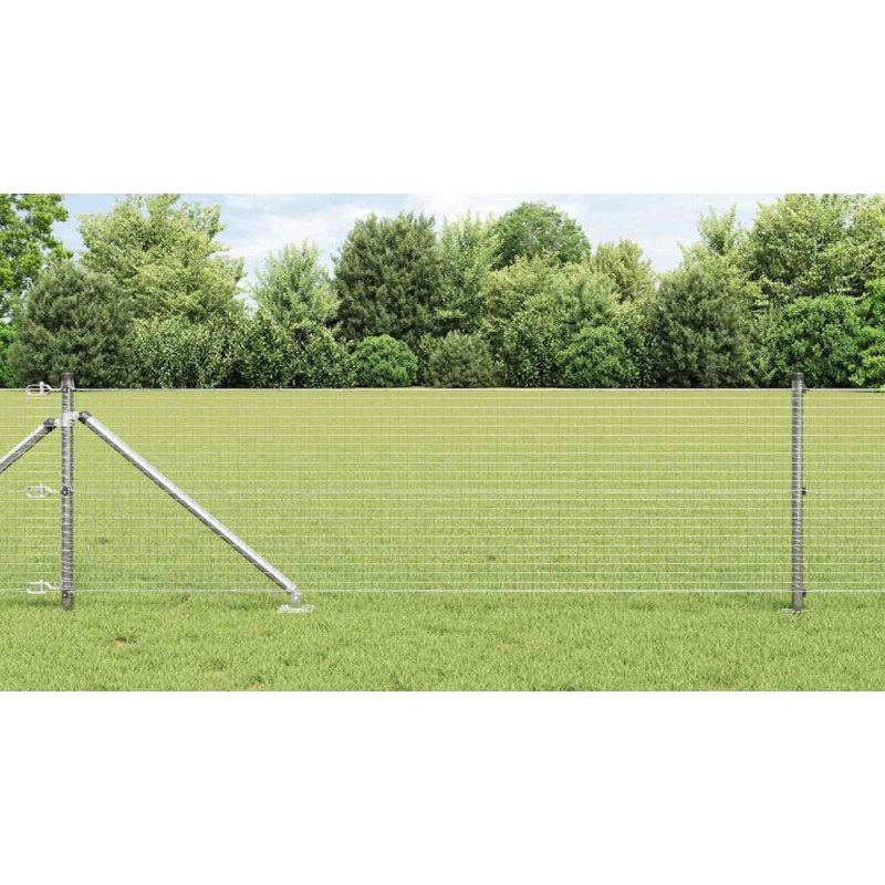 Clôture en Fil Soudé avec 13 Pieux Piqués 0.8x25 m Acier Galvanisé 