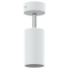 Projecteur de plafond 1 voie ajustable Blanc GU10 