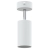 Projecteur de plafond 1 voie ajustable Blanc GU10 