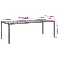 Table de Restauration de Jardin Grise 250x100x75 cm Rattan Poly 