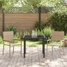 Ensemble de jardin 3 pièces beige en poly rattan 