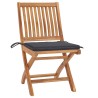 Chaises de jardin lot de 2 et coussins anthracite Bois de teck 