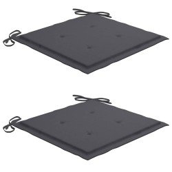 Chaises de jardin lot de 2 et coussins anthracite Bois de teck 