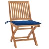 Chaises de jardin lot de 2 et coussins bleu royal Bois de teck 