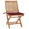 Chaises de jardin lot de 2 coussins rouge bordeaux Teck massif 