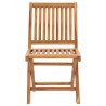 Chaises de jardin lot de 2 coussins rouge bordeaux Teck massif 