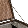 Boîte de stockage de jardin marron 150x100x100cm Résine tressée 