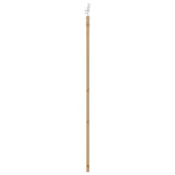 Porte Coulissante avec Quincaillerie 86x198,5 cm en Bois Massif de Pin 