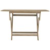 Table de jardin pliante gris 120x70x75 cm bois de teck solide 