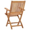 Chaises de jardin pliables lot de 2 Bois de teck massif 