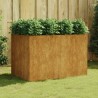 Lit surélevé de jardin 120x80x80 cm acier corten 