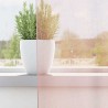 Rideaux en voile avec passe-tringles 2 pcs rose clair 