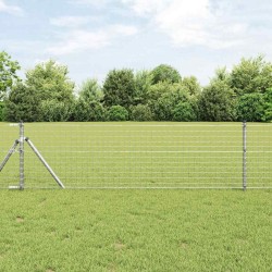 Clôture Euro avec 13 poteaux, 0,4 x 50 m en acier galvanisé 