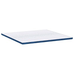 Coussins de Matelas Blanc et Bleu 180 x 200 cm 