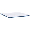 Coussins de Matelas Blanc et Bleu 180 x 200 cm 