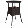 Ensemble de Salle à Manger de Jardin 3 Pièces Marron Poly Rattan 