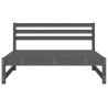Canapés centraux de jardin 2 pcs gris 120x80 cm bois pin massif 