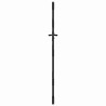 Porte de Jardin Autre Noir 105 x 200 cm Acier peint par poudre 
