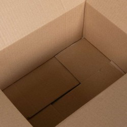 Boîte Pliable 50 pcs 30x21.5x14 cm Carton 