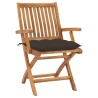 Chaises de jardin lot de 2 et coussins taupe Bois teck massif 