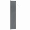Store de Fenêtre Gris foncé 40 x 220 cm Aluminium 
