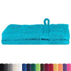 Gants de toilette 2 pcs Turquoise 15 x 21 cm Coton 