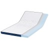 Coussins de Matelas Blanc et Bleu 120 x 200 cm 