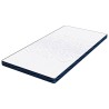 Coussins de Matelas Blanc et Bleu 120 x 200 cm 