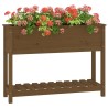 Jardinière et étagère Marron miel 111,5x34,5x81 cm Bois de pin 