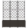 Planteur de jardin avec treillis 3 pcs Marron 120x40x143 cm 