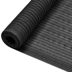 Filet brise-vue Anthracite 2x10 m PEHD 195 g/m² 