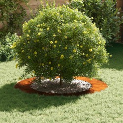 Pot de fleurs en acier corten Acier corten Grand 