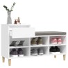 Armoire à chaussures Blanc 102x36x60 cm Bois d'ingénierie 