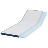 Coussins de Matelas Blanc et Bleu 70 x 200 cm 