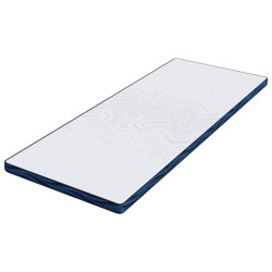 Coussins de Matelas Blanc et Bleu 70 x 200 cm 