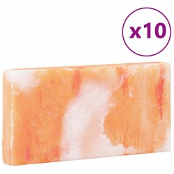 Pierre de sel 10 pcs 20x10x2,5 cm 11,5 kg Rose 