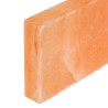Pierre de sel 10 pcs 20x10x2,5 cm 11,5 kg Rose 