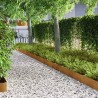 Bordure de jardin 4 pcs Rouillé 450 x 20 cm 