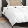Couette avec oreiller 2 pcs Blanc 135 x 200 cm Bas 