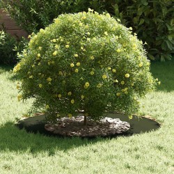 Pot de fleur vert olive Vert olive Céramique Grand 