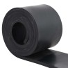 Bordure en caoutchouc de chasse-neige noir 250x15x1 cm 