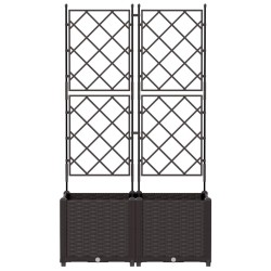 Jardinière avec treillis 2 pcs Marron 80x40x143 cm 
