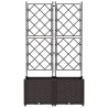 Jardinière avec treillis 2 pcs Marron 80x40x143 cm 
