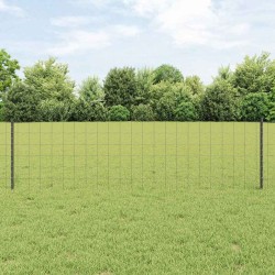 Clôture Euro avec 5 poteaux gris 0.6x10 m en acier 