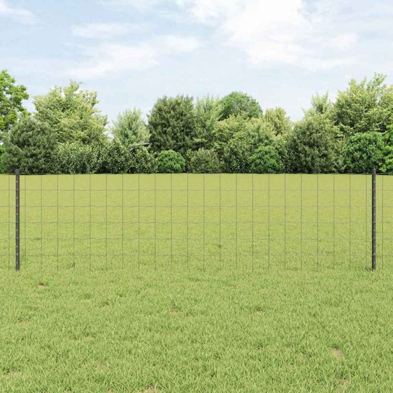 Clôture Euro avec 5 poteaux gris 0.6x10 m en acier 